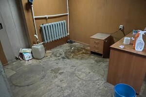 Сорокина Ксения Васильевна — Портфолио №8