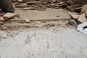 Василевская Светлана Дмитриевна — Портфолио №3