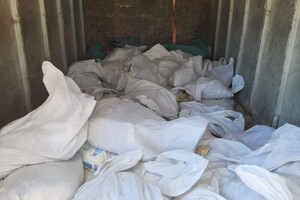 Василевская Светлана Дмитриевна — Портфолио №6