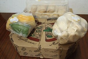 Захраи Ангелина Сейед Кямал — Портфолио №11