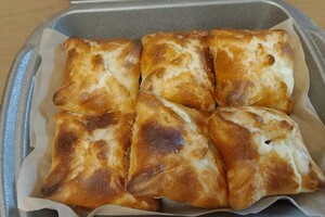 Захраи Ангелина Сейед Кямал — Портфолио №8