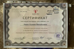 Диплом / сертификат №1 — Авант Ксения Михайловна