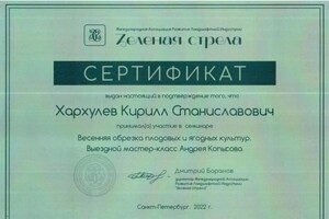 Диплом / сертификат №4 — Хархулев Кирилл Станиславович