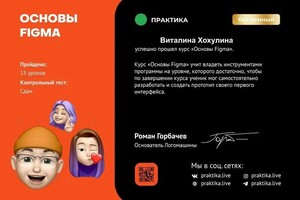 Диплом / сертификат №3 — Хохулина Виталина Евгеньевна