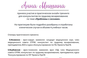 Диплом / сертификат №12 — Мишина Анна Викторовна