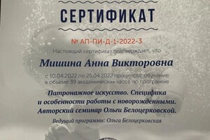 Диплом / сертификат №3 — Мишина Анна Викторовна