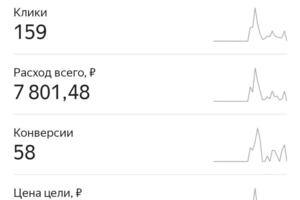 Статистика за последний месяц по узконаправленной нише. — Николайчук Денис Николаевич