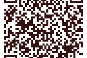 qr на портфолио — Скубач Полина Максимовна