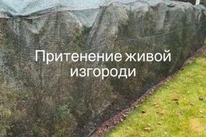 Подготовка к зиме, притенение, обработка специальными препаратами, защита от солнечных ожогов хвои.; Живая изгородь из... — Смирнова Кристина Валентиновна