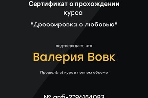 Диплом / сертификат №1 — Вовк Валерия Викторовна