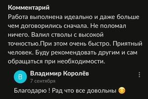 Отзыв по удалению березы на детской площадке. — Королев Владимир Владимирович