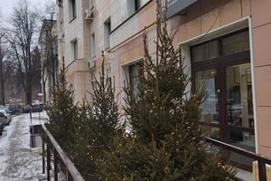 Новогоднее оформление входной группы салона красоты Module. — Абдунова Альбина