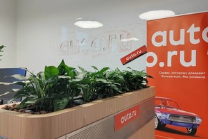 Озеленение офиса под ключ в Уфе — Абдунова Альбина