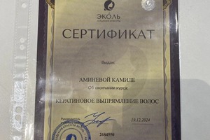 Диплом / сертификат №1 — Аминева Камила Рамильевна