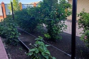 Изготовление и установка шпалеры — Галлямова Ромина Дамировна