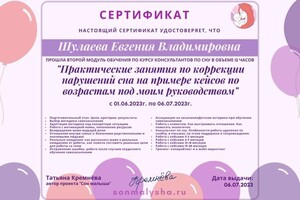 Диплом / сертификат №2 — Шулаева Евгения Владимировна