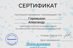 Диплом / сертификат №1 — Горемыкин Александр Владимирович