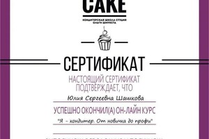 Диплом / сертификат №1 — Шашкова Юлия Сергеевна