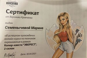 Диплом / сертификат №4 — Семенычева Марина Владимировна