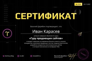 Диплом / сертификат №2 — Карасев Иван Олегович