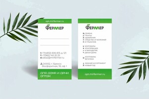 Дольникова Ирина Александровна — Портфолио №11