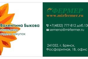 Дольникова Ирина Александровна — Портфолио №12