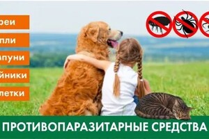 Дольникова Ирина Александровна — Портфолио №13