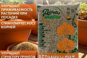 Дольникова Ирина Александровна — редизайн — Портфолио №16