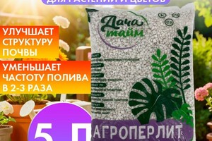 Дольникова Ирина Александровна — редизайн — Портфолио №17