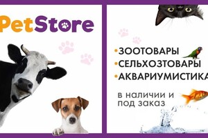 Дольникова Ирина Александровна — Портфолио №2