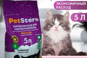 Дольникова Ирина Александровна — Портфолио №20