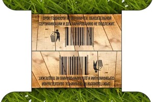 Дольникова Ирина Александровна — Портфолио №4