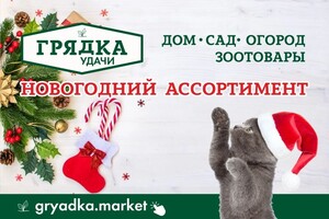 Дольникова Ирина Александровна — Портфолио №5