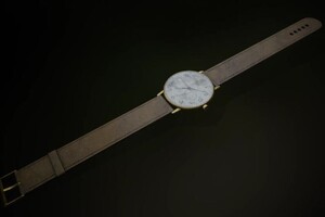 Гора Николай Сергеевич — Портфолио №1