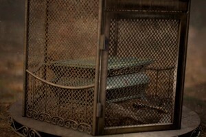 Гора Николай Сергеевич — Портфолио №14