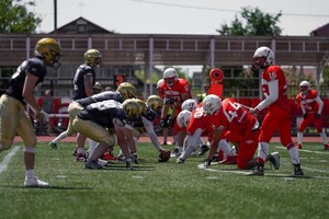 Графический дизайнер — Репортажное фото (футбол) — Портфолио №5