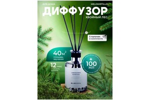 Мишов Александр Константинович — диффузор — Портфолио №7