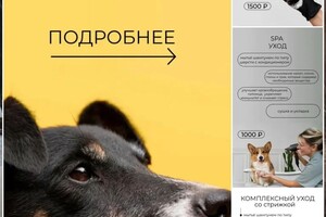 Попова Дария Дмитриевна — Оформление историй инстаграм — Портфолио №16