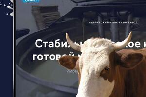 Промо-Маркетинг — moloko32.ru — Портфолио №25