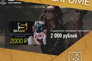 Раскина Дина Валерьевна — Портфолио №2