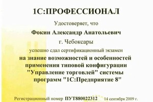 Диплом / сертификат №5 — ИП Фокин Александр Анатольевич