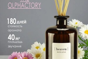 Портфолио №12 — Спиридонова Елена Александровна
