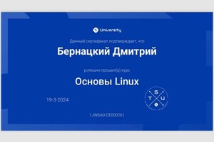 Диплом / сертификат №1 — Бернацкий Дмитрий Владимирович