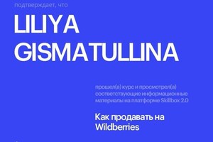 Диплом / сертификат №3 — Гисматуллина Лилия Наилевна