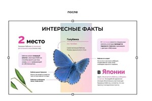 Портфолио №7 — Харисов Дауыд Мансурович