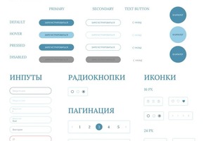 ui-kit для интернет магазина — Камалютдинова Инзира Ильшатовна