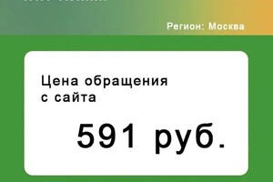 Реклама в Директе услуг чип-тюннга — Кашин Евгений Михайлович