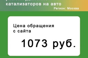 Реклама в Директе удаления катализаторов в Москве — Кашин Евгений Михайлович