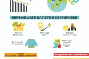 Разработка инфографики — Митина Анастасия Игоревна