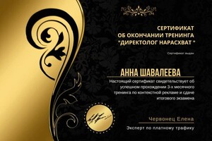 Диплом / сертификат №2 — Шавалеева Анна Владимировна